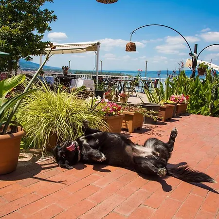 Sapanca Villa Suite Sapanca