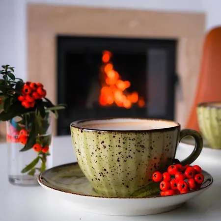 Sapanca Villa Suite 3*