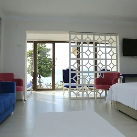 Hotel Sapanca Villa Suite 3*