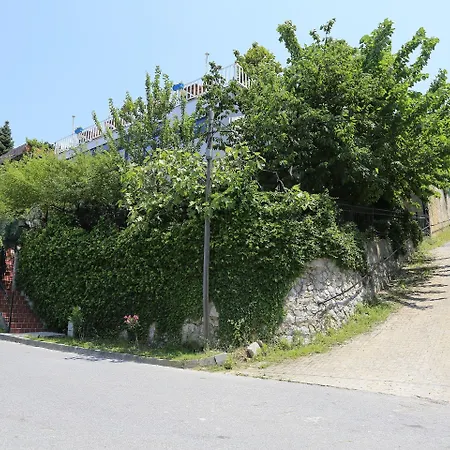 Sapanca Villa Suite 3*