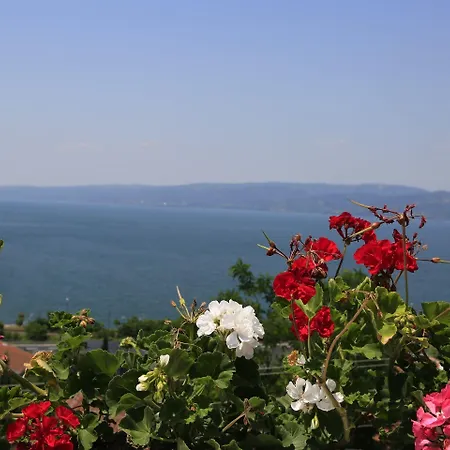 Sapanca Villa Suite Hotel 3*