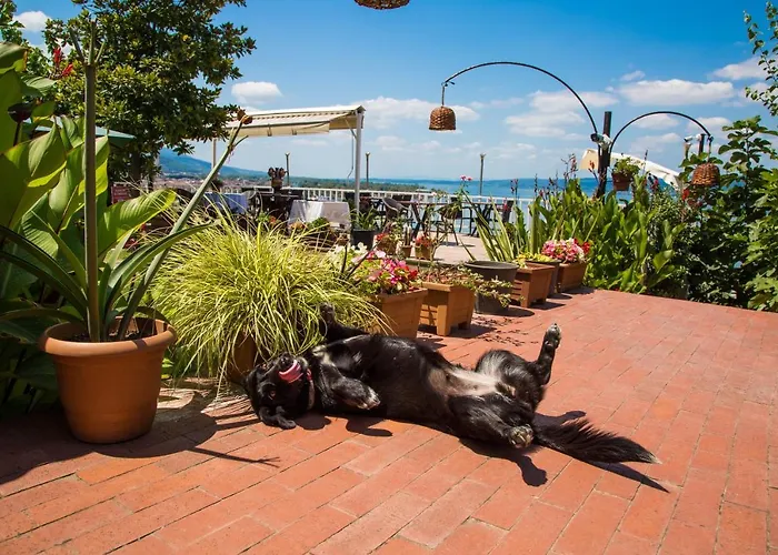 Sapanca Villa Suite Sapanca