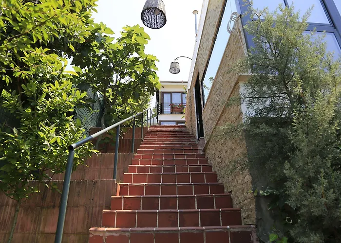 Sapanca Villa Suite 3*