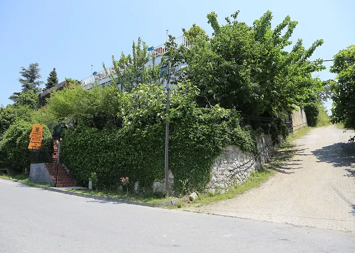 Sapanca Villa Suite 3*