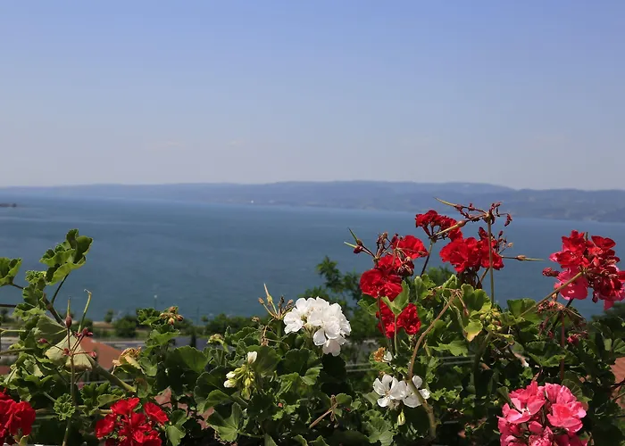 Sapanca Villa Suite Szálloda 3*